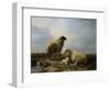 Sheep and Ducks in a Landscape-Leon Bakst-Framed Giclee Print