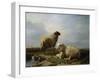 Sheep and Ducks in a Landscape-Leon Bakst-Framed Giclee Print