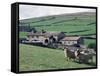 Sheep and Farm, Fox Up, Yorkshire, England, United Kingdom-Adam Woolfitt-Framed Stretched Canvas