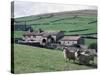 Sheep and Farm, Fox Up, Yorkshire, England, United Kingdom-Adam Woolfitt-Stretched Canvas