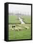 Sheep and Farms on Reclaimed Polder Lands Around Amsterdam, Holland-Walter Rawlings-Framed Stretched Canvas