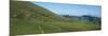 Sheep and horses in a farm, Arnosteguy, Iraty Mountain, Basque Country, Pyrenees-Atlantiques, Fr...-null-Mounted Photographic Print