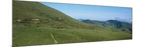 Sheep and horses in a farm, Arnosteguy, Iraty Mountain, Basque Country, Pyrenees-Atlantiques, Fr...-null-Mounted Photographic Print