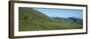 Sheep and horses in a farm, Arnosteguy, Iraty Mountain, Basque Country, Pyrenees-Atlantiques, Fr...-null-Framed Photographic Print