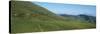 Sheep and horses in a farm, Arnosteguy, Iraty Mountain, Basque Country, Pyrenees-Atlantiques, Fr...-null-Stretched Canvas