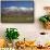 Sheep and Kakanui Mountains, Kyeburn, Central Otago, South Island, New Zealand-David Wall-Framed Stretched Canvas displayed on a wall