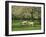 Sheep and Lambs Beneath Apple Trees in a Cider Orchard in Herefordshire, England-Michael Busselle-Framed Photographic Print