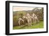 Sheep and Lambs on Pasture-null-Framed Art Print