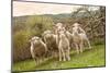 Sheep and Lambs on Pasture-null-Mounted Art Print