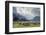 Sheep and Mountains Near Glenorchy, Queenstown, South Island, New Zealand, Pacific-Nick-Framed Photographic Print