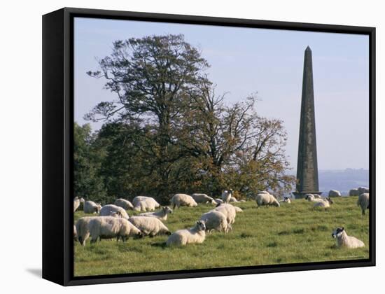 Sheep and Obelisk, Welcombe Hills, Near Stratford Upon Avon, Warwickshire, England-David Hughes-Framed Stretched Canvas