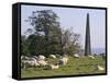 Sheep and Obelisk, Welcombe Hills, Near Stratford Upon Avon, Warwickshire, England-David Hughes-Framed Stretched Canvas