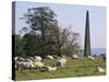 Sheep and Obelisk, Welcombe Hills, Near Stratford Upon Avon, Warwickshire, England-David Hughes-Stretched Canvas