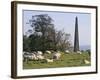 Sheep and Obelisk, Welcombe Hills, Near Stratford Upon Avon, Warwickshire, England-David Hughes-Framed Photographic Print