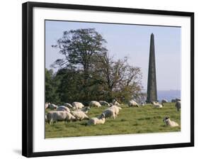 Sheep and Obelisk, Welcombe Hills, Near Stratford Upon Avon, Warwickshire, England-David Hughes-Framed Photographic Print