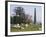 Sheep and Obelisk, Welcombe Hills, Near Stratford Upon Avon, Warwickshire, England-David Hughes-Framed Photographic Print