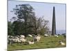 Sheep and Obelisk, Welcombe Hills, Near Stratford Upon Avon, Warwickshire, England-David Hughes-Mounted Photographic Print