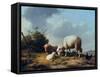 Sheep and Poultry in a Landscape, 19th Century-Eugène Verboeckhoven-Framed Stretched Canvas