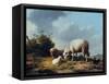 Sheep and Poultry in a Landscape, 19th Century-Eugène Verboeckhoven-Framed Stretched Canvas