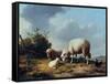 Sheep and Poultry in a Landscape, 19th Century-Eugène Verboeckhoven-Framed Stretched Canvas