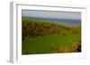 Sheep and the Rolling Hills to the Ocean, Otago, South Island, New Zealand, Pacific-Bhaskar Krishnamurthy-Framed Photographic Print