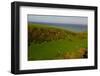 Sheep and the Rolling Hills to the Ocean, Otago, South Island, New Zealand, Pacific-Bhaskar Krishnamurthy-Framed Photographic Print