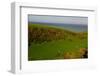 Sheep and the Rolling Hills to the Ocean, Otago, South Island, New Zealand, Pacific-Bhaskar Krishnamurthy-Framed Photographic Print