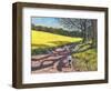 Sheep And Yellow Field-Andrew Macara-Framed Giclee Print