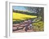 Sheep And Yellow Field-Andrew Macara-Framed Giclee Print