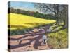 Sheep And Yellow Field-Andrew Macara-Stretched Canvas