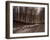 Sheep are Brought Down from the High Pastures to Their Winter Grazing, 1934-null-Framed Photographic Print