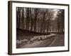 Sheep are Brought Down from the High Pastures to Their Winter Grazing, 1934-null-Framed Photographic Print