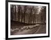 Sheep are Brought Down from the High Pastures to Their Winter Grazing, 1934-null-Framed Photographic Print