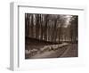 Sheep are Brought Down from the High Pastures to Their Winter Grazing, 1934-null-Framed Photographic Print