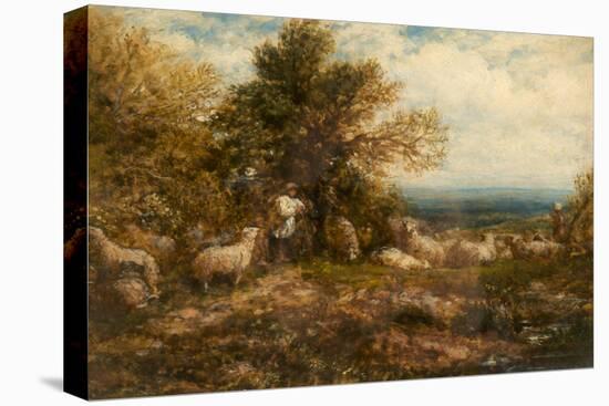 Sheep at Rest; Minding the Flock, C.1840-80-John Linnell-Stretched Canvas