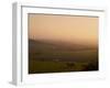 Sheep at Sunset, Near Sidmouth, Devon, England, United Kingdom, Europe-Jeremy Lightfoot-Framed Photographic Print