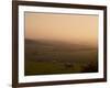 Sheep at Sunset, Near Sidmouth, Devon, England, United Kingdom, Europe-Jeremy Lightfoot-Framed Photographic Print