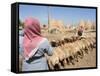 Sheep Being Milked in Front of Beehive Houses Built of Brick and Mud, Srouj Village, Syria-Christian Kober-Framed Stretched Canvas