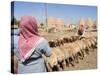 Sheep Being Milked in Front of Beehive Houses Built of Brick and Mud, Srouj Village, Syria-Christian Kober-Stretched Canvas
