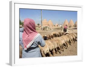 Sheep Being Milked in Front of Beehive Houses Built of Brick and Mud, Srouj Village, Syria-Christian Kober-Framed Photographic Print