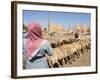 Sheep Being Milked in Front of Beehive Houses Built of Brick and Mud, Srouj Village, Syria-Christian Kober-Framed Photographic Print