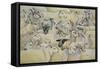 Sheep-Blanket-Ditz-Framed Stretched Canvas