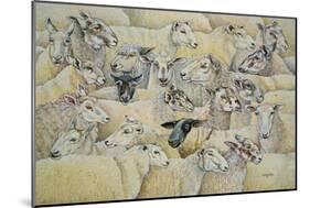 Sheep-Blanket-Ditz-Mounted Giclee Print