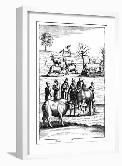 Sheep, Cattle, Horses and Goats, 18th Century-null-Framed Giclee Print