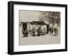 Sheep Committtee-Theo Westenberger-Framed Art Print