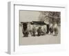 Sheep Committtee-Theo Westenberger-Framed Art Print