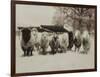 Sheep Committtee-Theo Westenberger-Framed Art Print