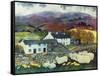Sheep Country, 1988-Lisa Graa Jensen-Framed Stretched Canvas
