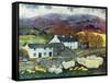 Sheep Country, 1988-Lisa Graa Jensen-Framed Stretched Canvas