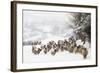 Sheep Crossbreds in Snow-null-Framed Photographic Print